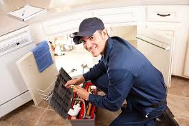 Best Tankless Water Heater Services  in Carson, WA